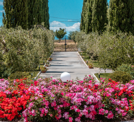 parco-verde-anima-antiqua